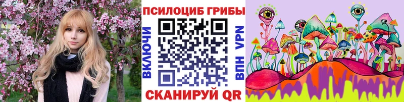 Купить закладки  Чухлома  Псилоцибиновые грибы Cubensis 